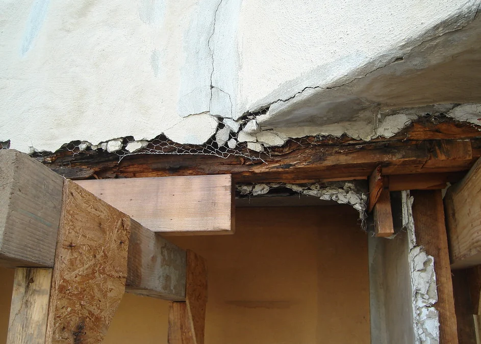 Timber beam and joist ends exposed under a floor