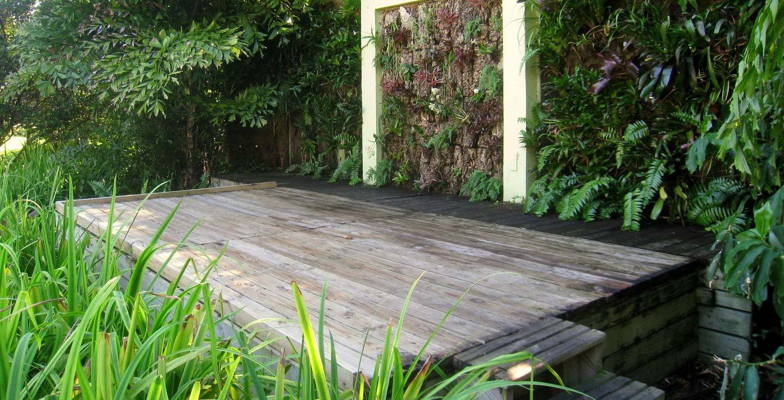 Low timber deck platform surrounded by dense green planting